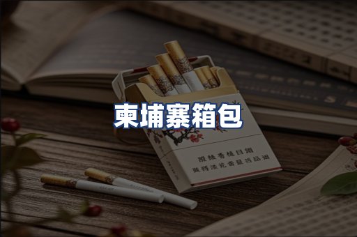 柬埔寨箱包